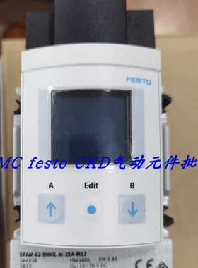 费斯托FESTO 流量传器SFAM-62-5000L-M-2SA-M12 564938