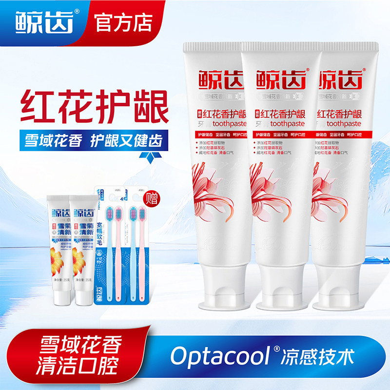【红花提取物】牙周炎症牙龈萎缩