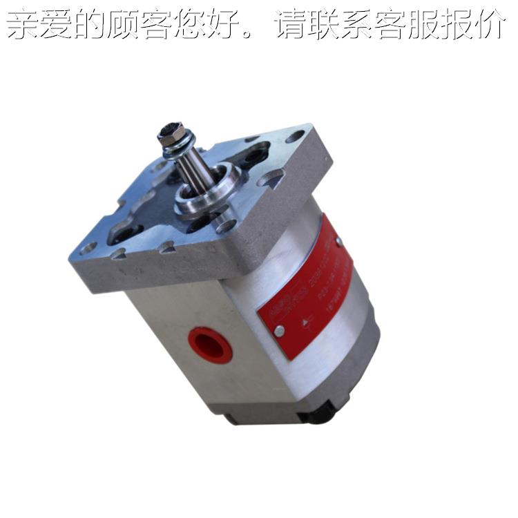 AROHTOS齿轮泵P23-7G,9R1130Y0ALW 1879987P23-6.2R 5.8R  4.8R 3
