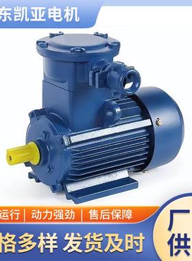 隔爆兼型粉尘防爆高效率防爆电动 YBX-BX5704-YB4BP多种规格Y可以