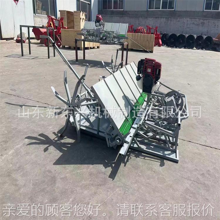 水稻插秧机手推步进动行秧式46行育盘秧苗电启种植机 BOL水上漂