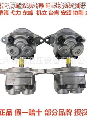 日本岛齿轮KFP33232CFMSS 泵SUUMGP1A27津L152 YP10-R41