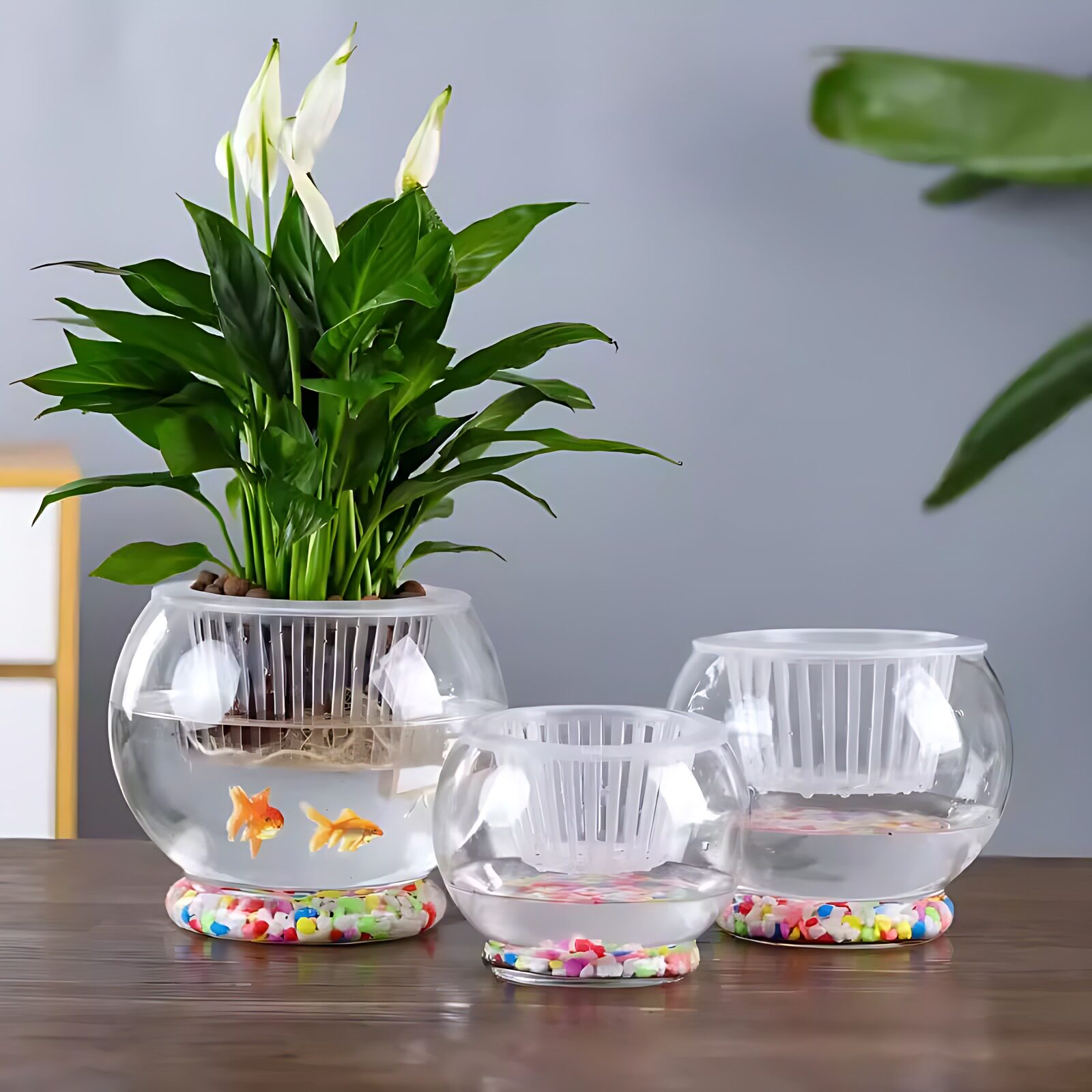 简约创意水培植物花瓶透明塑料