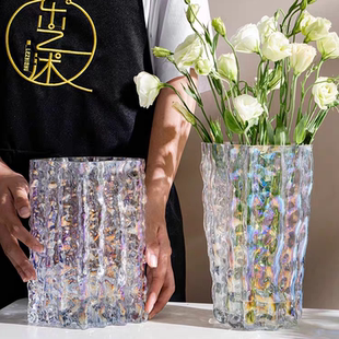 【双十一热卖中】北欧玻璃花瓶摆件轻奢高级感客厅插花水养鲜花大