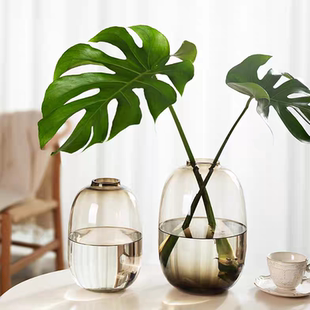 龟背竹花瓶玻璃透明大肚绿植专用水培器皿水养高级感客厅插花摆件