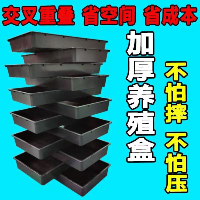 蛋白虫黄粉虫养殖盒大麦虫面包虫养殖工具塑料饲养盒厂家直销其他