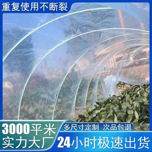玻璃纤维管玻璃纤维杆小拱棚支架逗猫棒帐篷蚊帐风筝支架专用地插