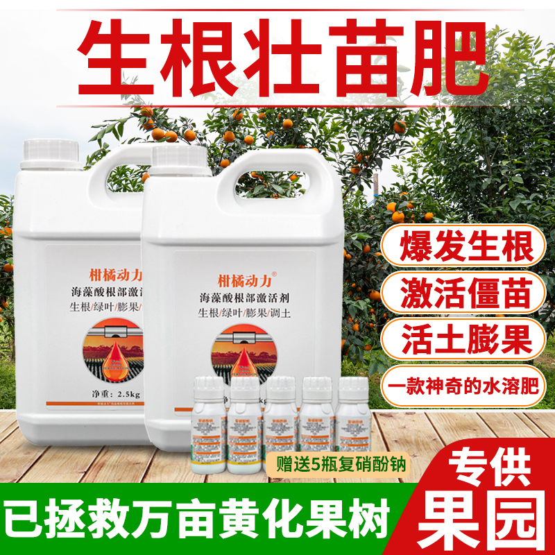 柑橘动力根部激活剂黄化树克星
