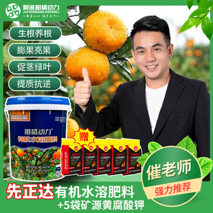 柑橘动力先正达氨基酸水溶肥生根壮苗有机水溶肥料果树蔬菜专用肥