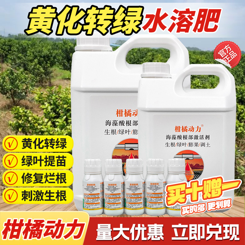 柑橘动力黄化转绿方案调土促根肥