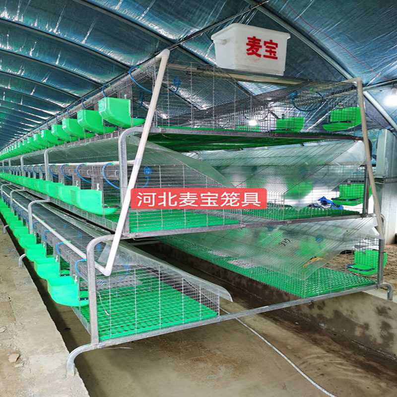 24位子母兔笼 热镀锌养殖肉笼兔笼 繁殖一体笼子母兔笼室外兔舍,电子元器件市场,电线扎带/束线带,淘宝优惠券,粉丝福利购,淘宝优惠卷