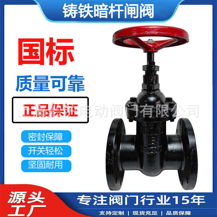 Z41T-10/16Q明杆闸阀 铸铁法兰铜芯闸阀 DN50 65 80 100 200 300