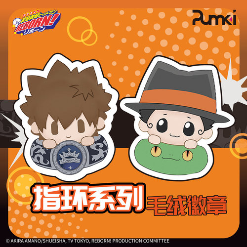艺华境 家庭教师HITMAN REBORN! 指环系列毛绒徽章盲盒