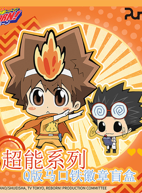 艺华境家庭教师HITMAN REBORN! 超能系列Q版马口铁徽章盲盒
