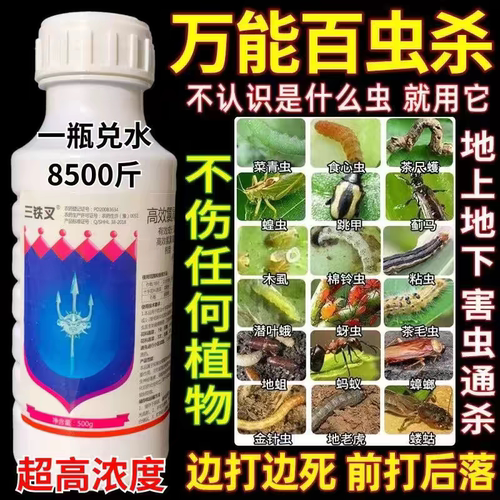 高效氯氟氰菊酯高效杀虫剂菜青虫