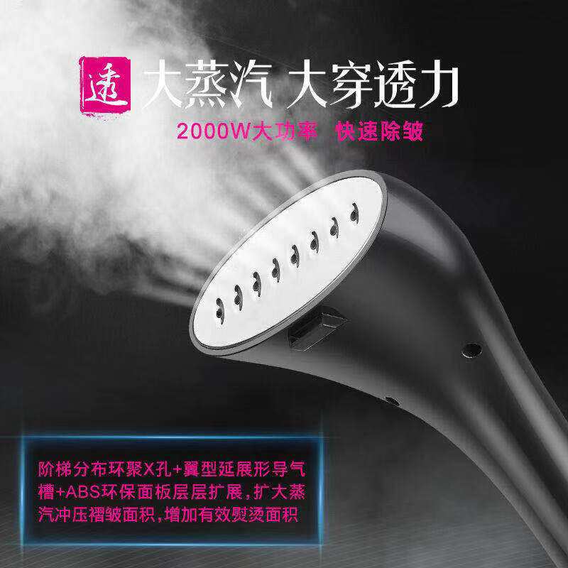 德国荣芝挂烫机家用蒸汽熨斗服装店商用小型手持挂式烫衣服熨烫机