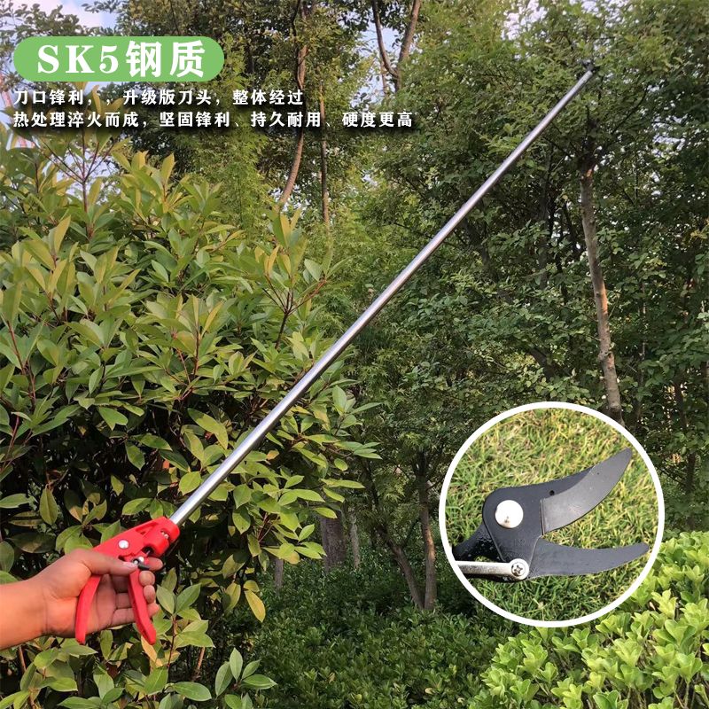 高枝剪修树d枝剪不锈钢剪刀修剪园林疏花稀果剪高空剪修花剪刀