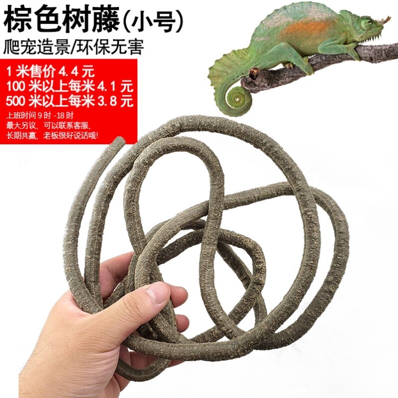 仿真树藤睫角守宫藤蔓寄居蟹树枝爬宠箱姥爷树蛙蜥蜴攀爬造景藤条