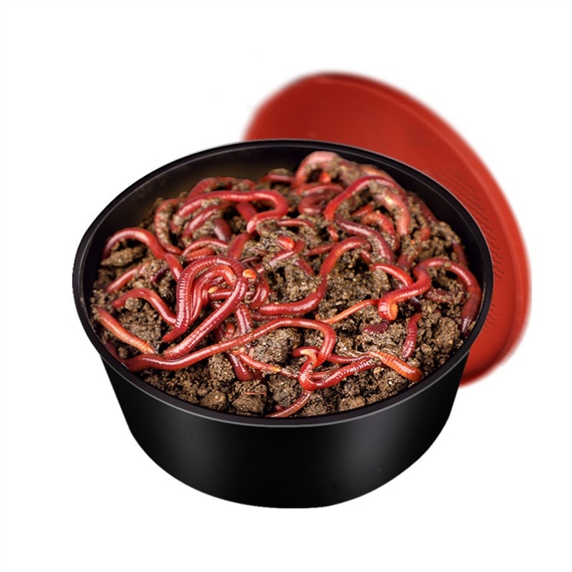 活大号红蚯蚓钓黄鳝蚯蚓特大广地龙松土蚯蚓钓鱼活饵鱼粮宠物饲料