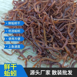 黑蚯蚓干青蚯蚓干地龙干蚯蚓鱼饵黄鳝饵户外钓鱼隔夜窝干货批发