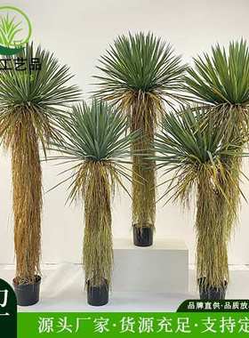 仿真绿植稻草人假植物盆栽蓝长序龙舌兰树室内外装饰丝兰树摆件