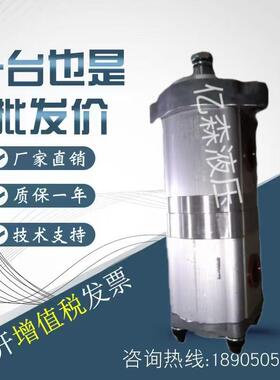 赫思博HESPER双联齿轮泵HA11/HA21/HA22/HA32/HA33全系列液压油泵