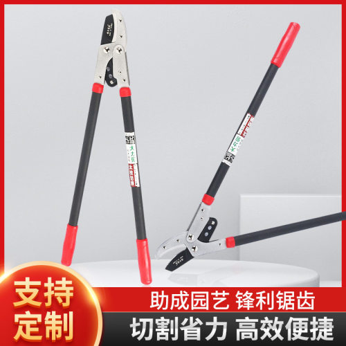 鸟嘴大力修枝剪sk5花艺园艺剪刀园林工具剪树枝剪高枝果树剪批发