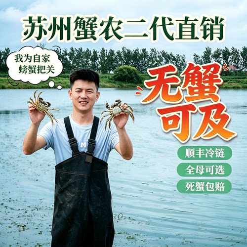 【活蟹】苏州阳澄蟹农直销螃蟹