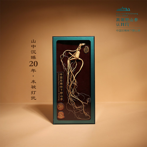 井几辽宁桓仁林下山参地道珍品