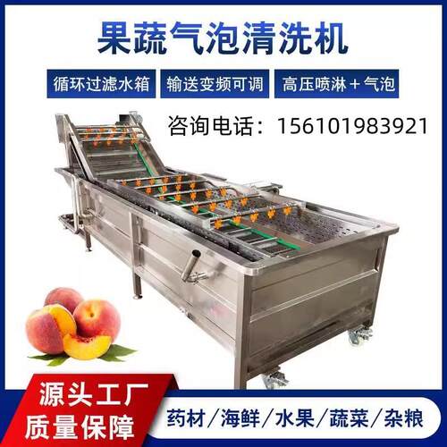 鲜辣椒生姜叶菜气泡清洗机全自动毛肚韭菜包装袋清洗设备