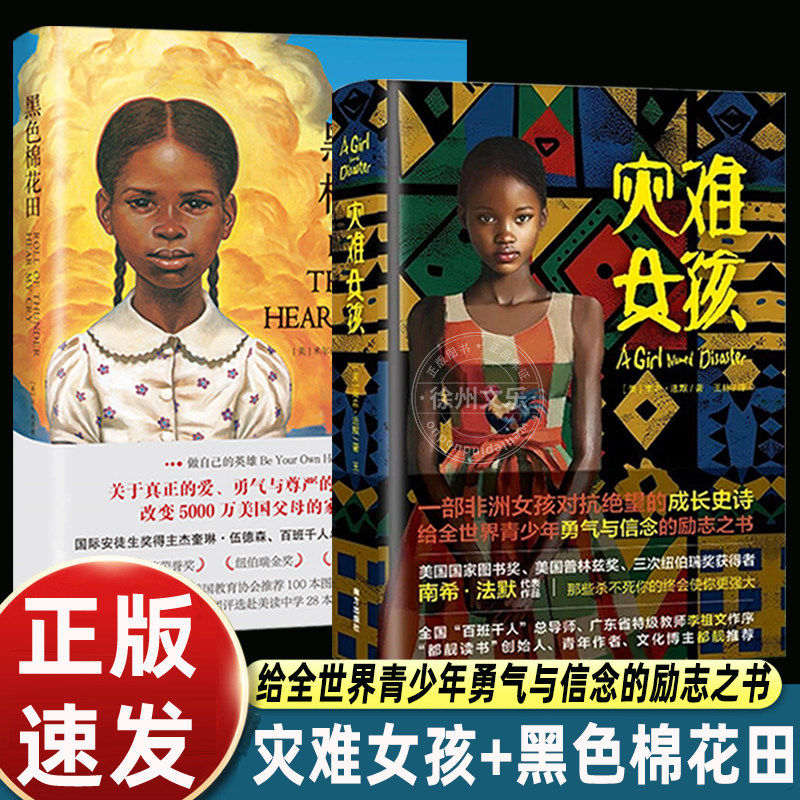 黑色棉花田+灾难女孩 精装 国际大奖小说成长系列 关于勇气、爱和信念的成长教科书 纽伯瑞获奖作品 天下智慧
