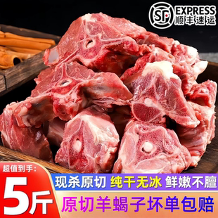 A新鲜羊蝎子羊骨头大羊脊骨5斤带肉羊脊椎骨羊龙骨火锅食材商用