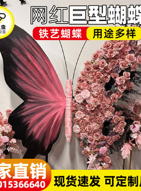 网红大型蝴蝶装饰道具拍照打卡