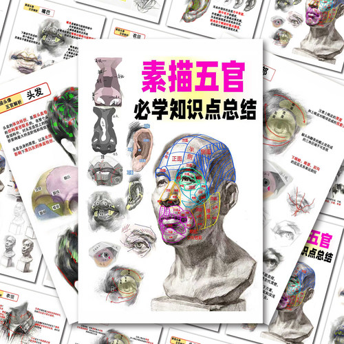素描五官必学知识点总结贴纸人体结构绘画教程零基础学画画指南