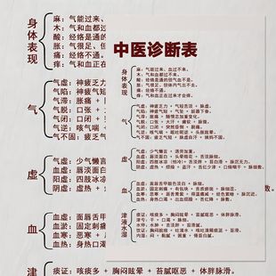 24张中医诊断学贴纸望闻问切自查体质医学生专属经络穴位中医笔记