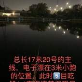 灵顿电子漂 跑铅夜光漂 青鱼草鱼夜光漂 无铅夜光漂 永祥青电子漂