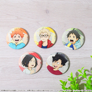 【次研屋预售】IG STORE 排球少年幼年期 吧唧徽章色纸明信片套组