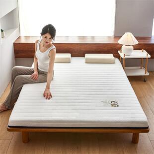 2026新款可爱猫单边硬质棉床垫