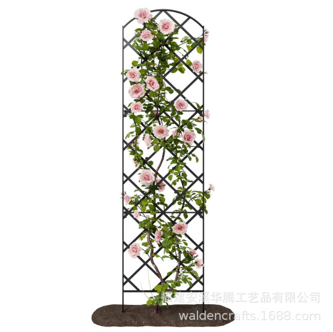 巨型金属铁艺格子花架顶部拱形支撑户外藤蔓植物生长装饰花园