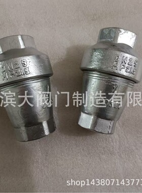 不锈钢锥形逆止阀输灰逆止阀 ZNF丝扣专用止回阀逆止阀厂家
