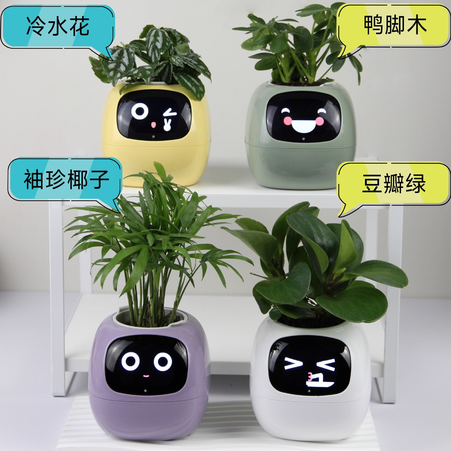 新品智能懒人自动吸水花盆塑料IVY智能萌宠机器人配套植物四选一