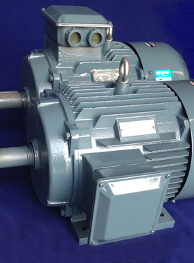 铜芯线实体厂家电动机厂家电机厂家YP2-280M-2 90KW宽频电机