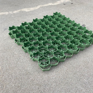 加厚植草格绿化防板结植草板小区停车位停车场值草屋顶绿化值草格