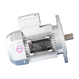 YE2 陶瓷行业生产设备使用马达 160L 15kw 铁壳电机 新菱电机