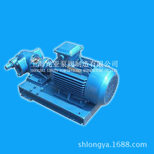 6内啮合高粘度齿轮泵 上海销售工业泵 2CY