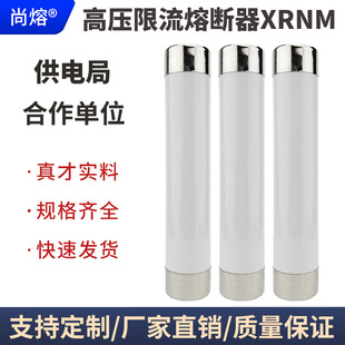 高压限流熔断器WFNHO XRNM1 插入式 50A100A200A母线式 12KV 7.2KV