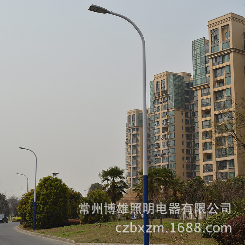 博雄照明自弯臂路灯杆