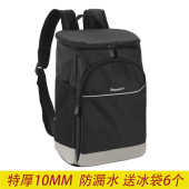 双肩加厚铝箔保温袋背包防水冷藏B包保鲜冰袋大号野餐包外卖送餐