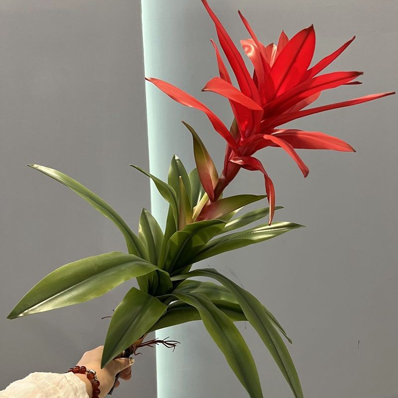 仿真鸿运当头 手感软胶超仿真鸿运C当头单枝盆栽装饰植物 造景绿