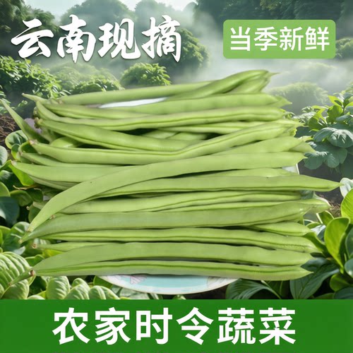 云南四季豆长豆角农家当季蔬菜
